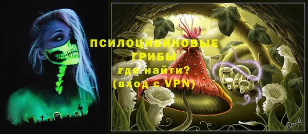 PSILOCYBIN Баксан