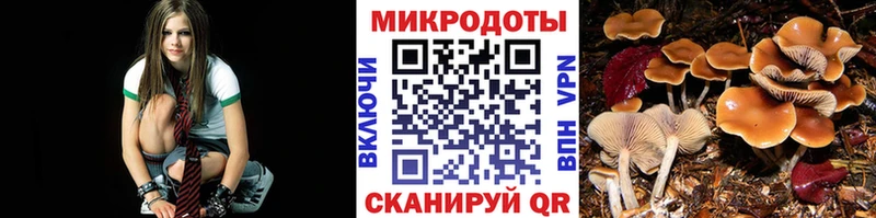 сколько стоит  Белебей  blacksprut сайт  Галлюциногенные грибы MAGIC MUSHROOMS 